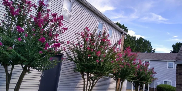 Centers For Youth & Families